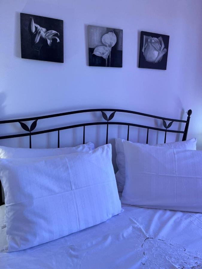 Apartman Gorana With Swimming Pool Jelsa  Zewnętrze zdjęcie